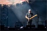 Gilmour 160628 (c) Andreas Mueller 187